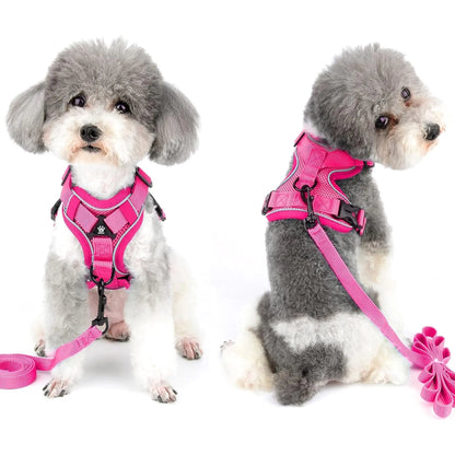 Adjustable Dog Harness Set, No Tangle Leash, Breathable Mesh Reflective Anti-Pull Pet Vest for Small Medium Large Dogs, Outdoor Walking Night Safety