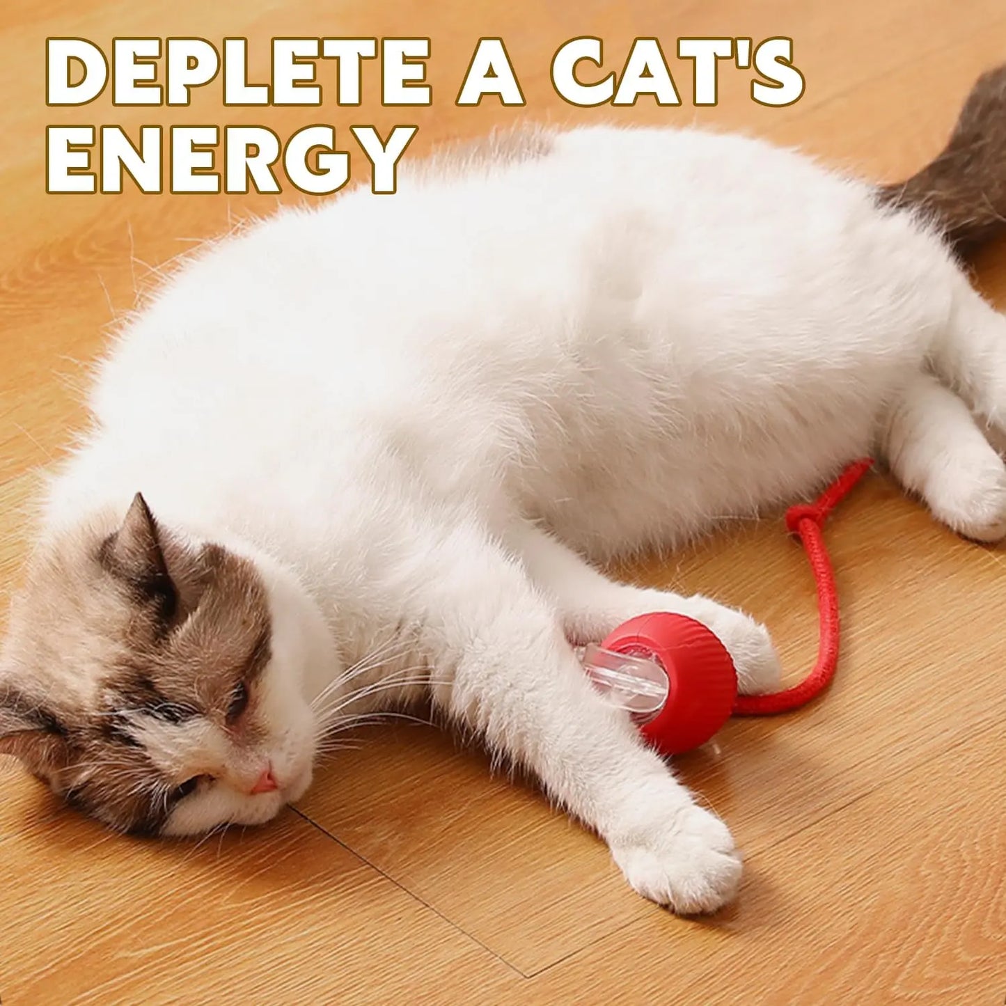 Interactive Pet Toy Ball for Indoor Cats and Dogs - Smart Rolling Ball (Red)