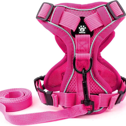 Adjustable Dog Harness Set, No Tangle Leash, Breathable Mesh Reflective Anti-Pull Pet Vest for Small Medium Large Dogs, Outdoor Walking Night Safety