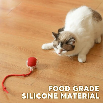 Interactive Pet Toy Ball for Indoor Cats and Dogs - Smart Rolling Ball (Red)