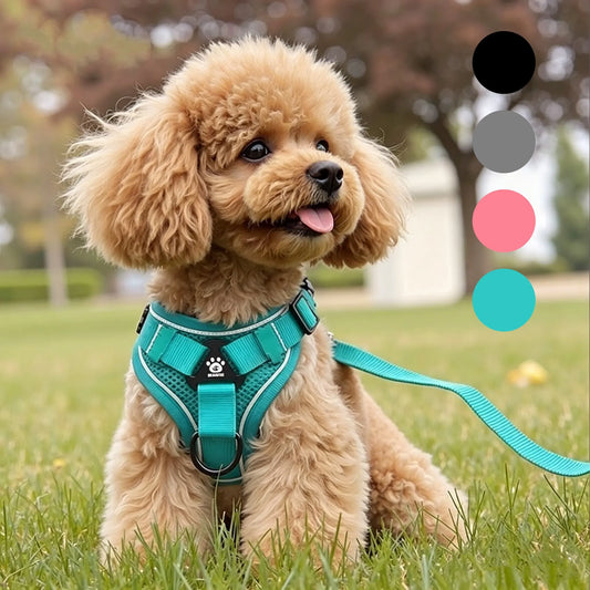Adjustable Dog Harness Set, No Tangle Leash, Breathable Mesh Reflective Anti-Pull Pet Vest for Small Medium Large Dogs, Outdoor Walking Night Safety