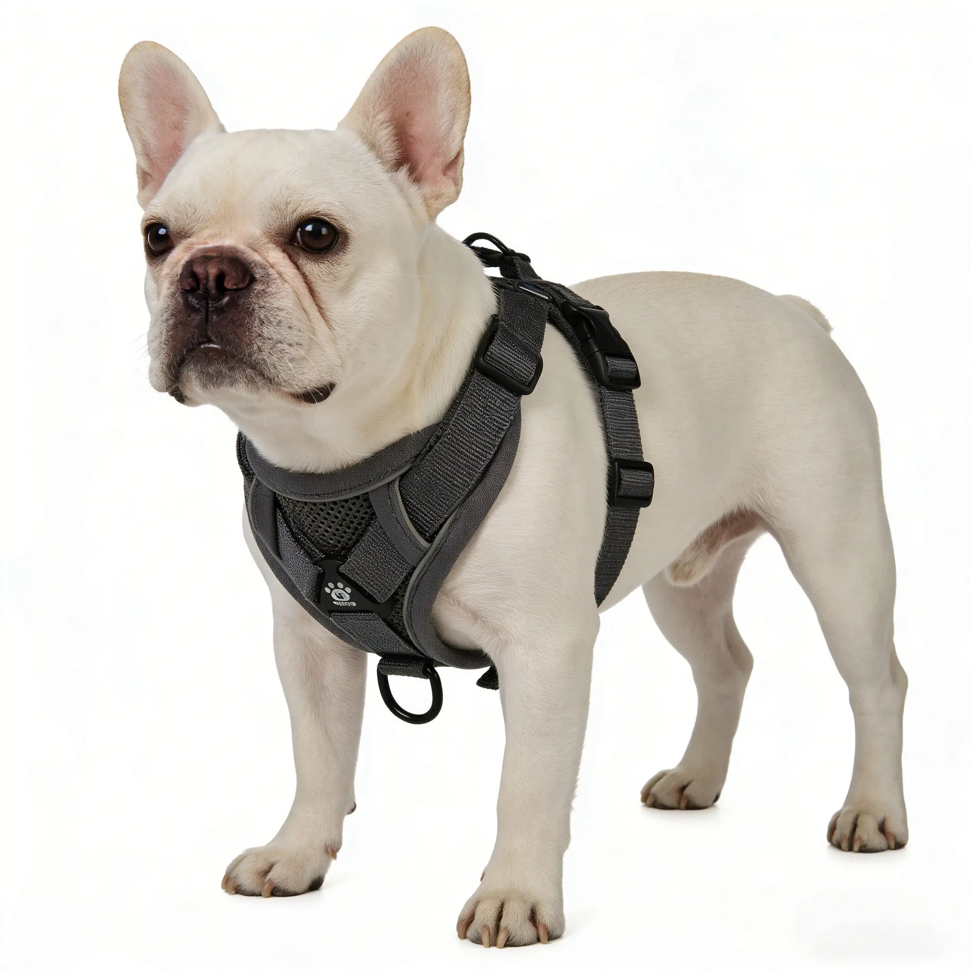Adjustable Dog Harness Set, No Tangle Leash, Breathable Mesh Reflective Anti-Pull Pet Vest for Small Medium Large Dogs, Outdoor Walking Night Safety