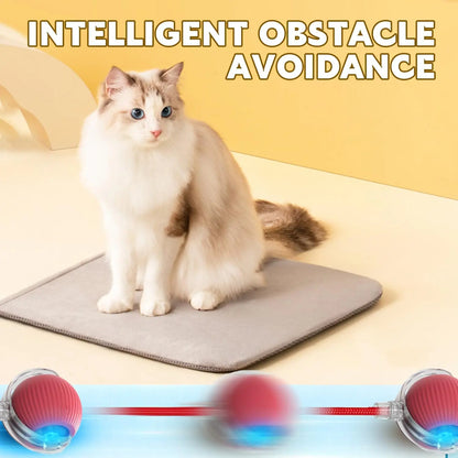 Interactive Pet Toy Ball for Indoor Cats and Dogs - Smart Rolling Ball (Red)