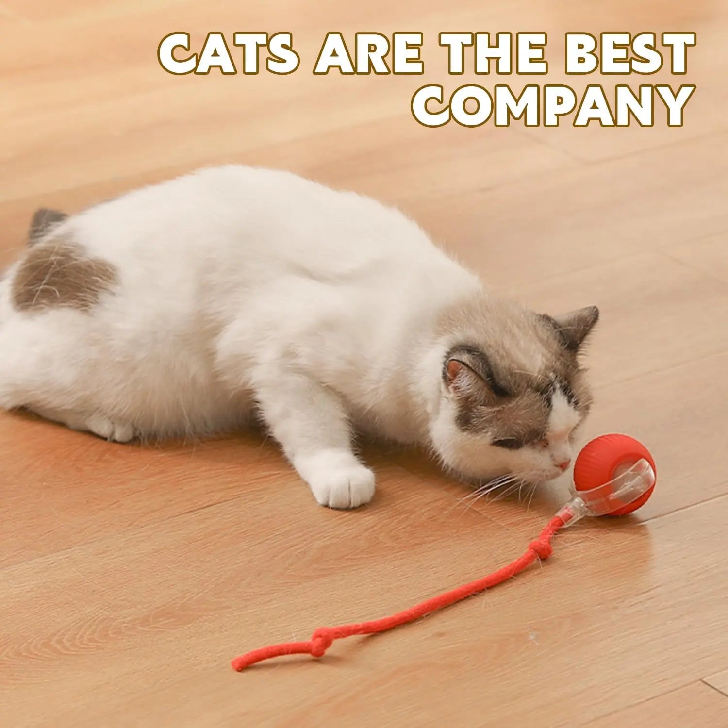 Interactive Pet Toy Ball for Indoor Cats and Dogs - Smart Rolling Ball (Red)