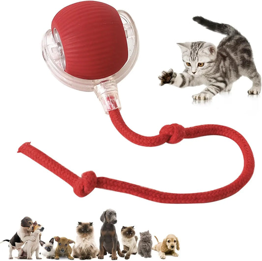 Interactive Pet Toy Ball for Indoor Cats and Dogs - Smart Rolling Ball (Red)